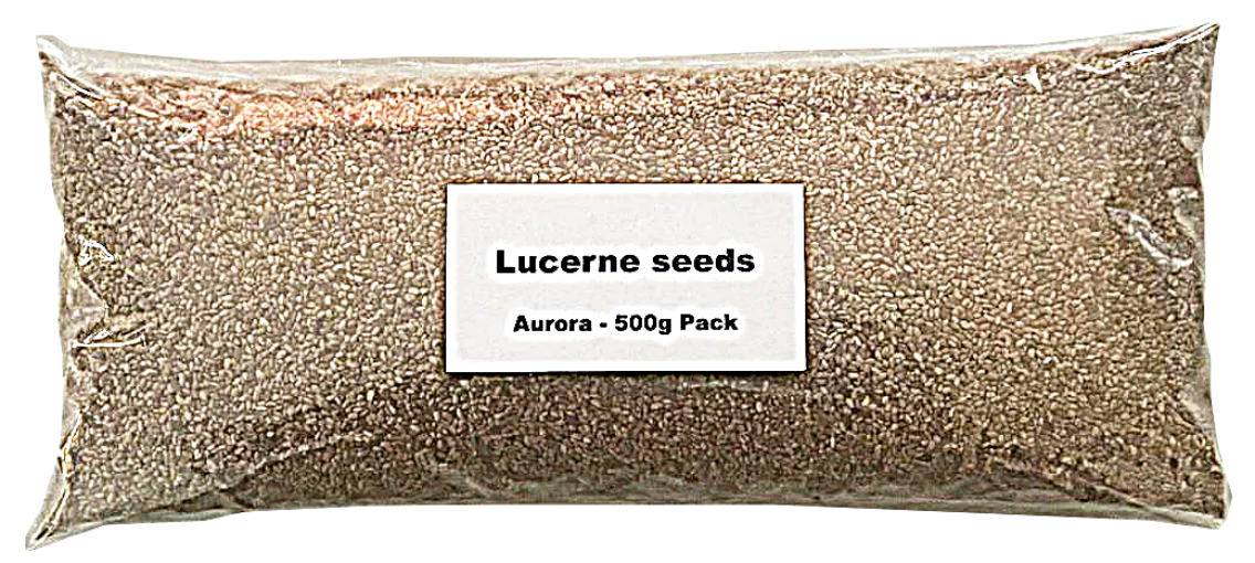 Lucerne Seeds -500 Grams - Uncoated