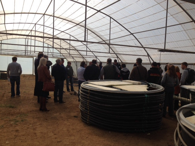 Aquaponics training course johannesburg