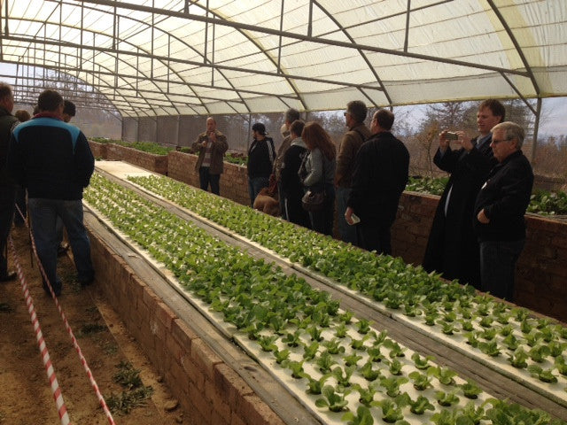 Aquaponics training course joburg