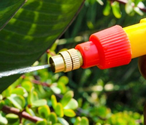 Hand Pressure Sprayer for Bottles