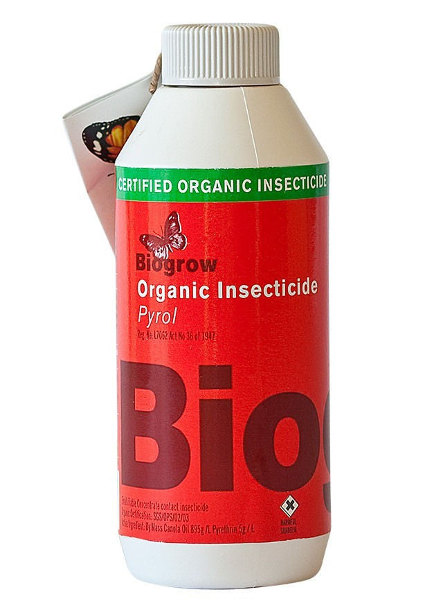 pyrol - effective organic pesticide for aphids and spider mite
