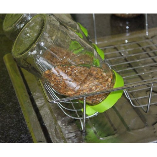 Sprout Lids - Twin Pack