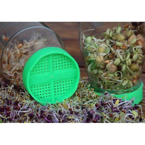 Sprout Lids - Twin Pack