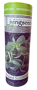 Striped Sunflower microgreens seeds 