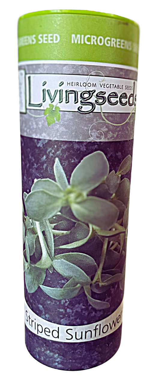 Striped Sunflower microgreens seeds 