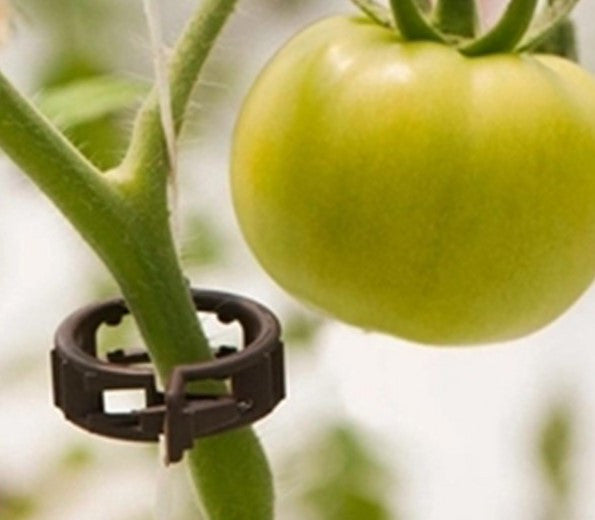 Clips for Tomato & Cucumber - pack 10