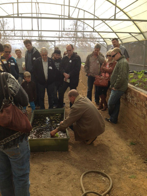 Ticket Aquaponics & Sandponics Training Course - Saturday, 24 October 2026, Johannesburg