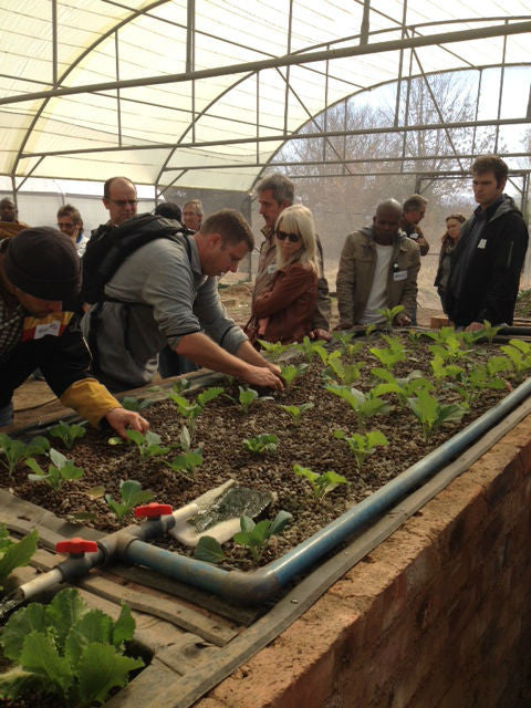 Ticket Aquaponics & Sandponics Training Course - Saturday, 24 October 2026, Johannesburg