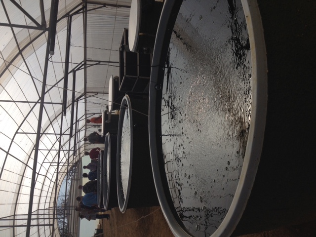 fish farming in tanks