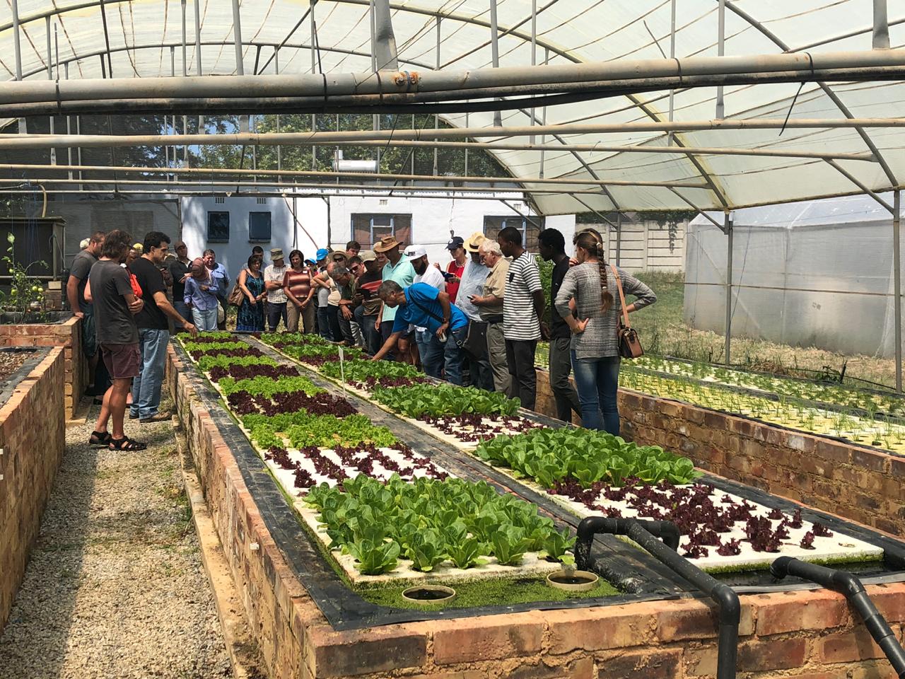 aquaponics courses and training in south africa - myaquaponics