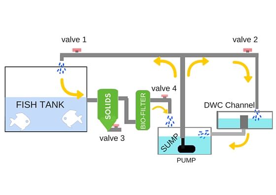 recirculating aquaponic systems